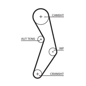 Timing Belt GATES 5503XS