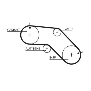 Timing Belt GATES 5504XS