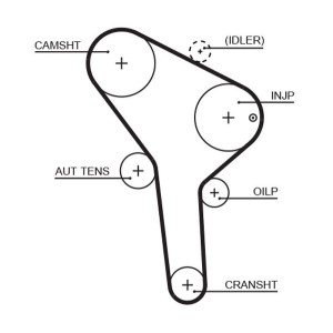 Timing Belt GATES 5564XS