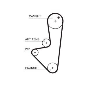 Timing Belt GATES 5575XS