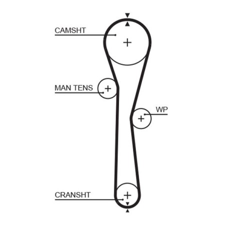 Timing Belt GATES 5577XS