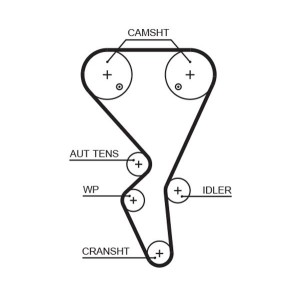 Timing Belt GATES 5581XS