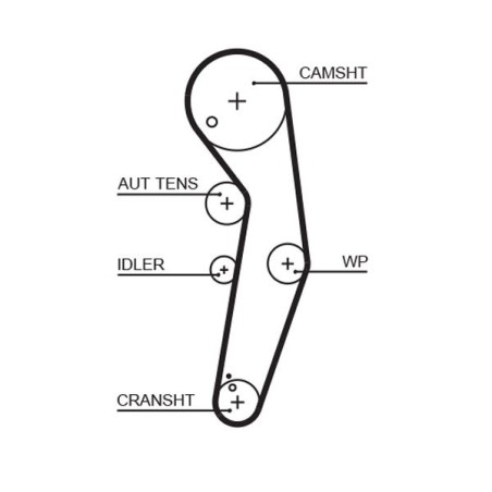 Timing Belt GATES 5569XS