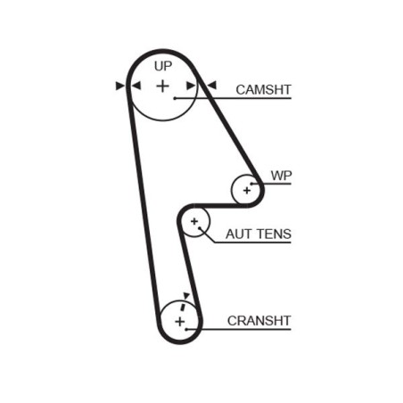 Timing Belt GATES 5593XS