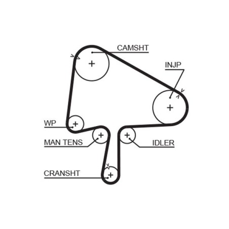 Timing Belt GATES 5596XS