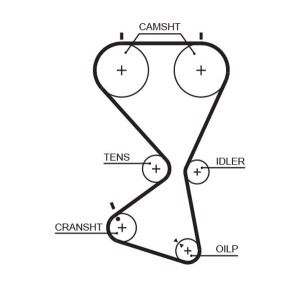 Timing Belt GATES 5556XS