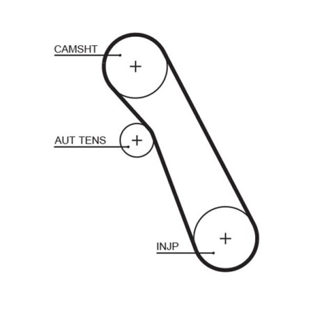 Timing Belt GATES 5541XS