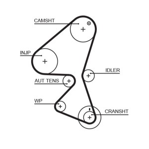 Timing Belt GATES 5587XS