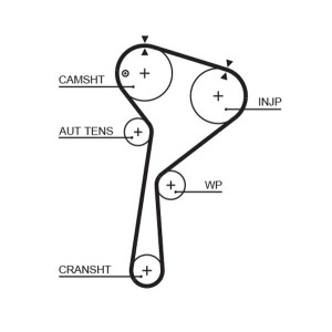 Timing Belt GATES 5675XS