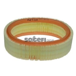 Air Filter PURFLUX A1278