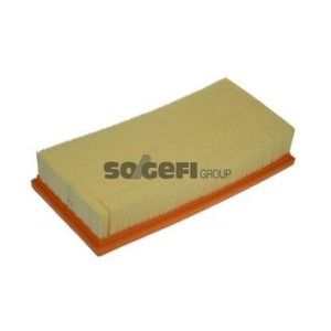 Air Filter PURFLUX A1365