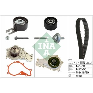 Water Pump & Timing Belt Kit INA 530037530