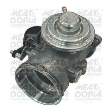 EGR Valve MEAT & DORIA 88119