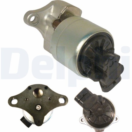 EGR Valve DELPHI EG10256-12B1