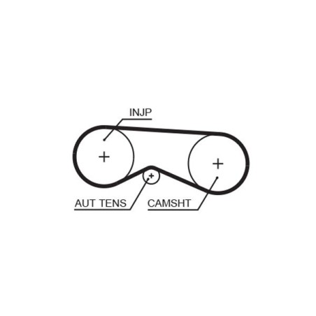 Timing Belt GATES 5531XS