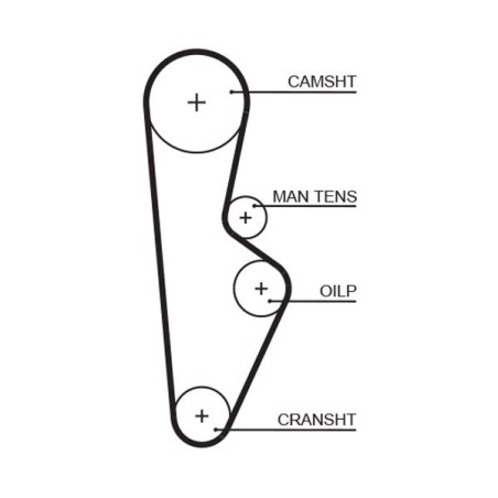 Timing Belt GATES 5082XS