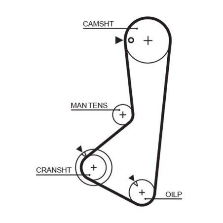 Timing Belt GATES 5256XS