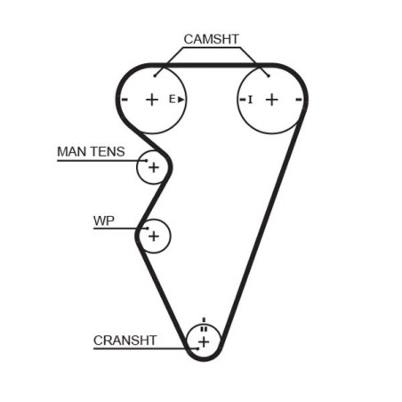 Timing Belt GATES 5416XS