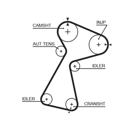 Timing Belt GATES 5561XS