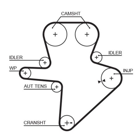 Timing Belt GATES 5586XS