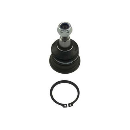 Ball Joint KAVO PARTS SBJ-3035