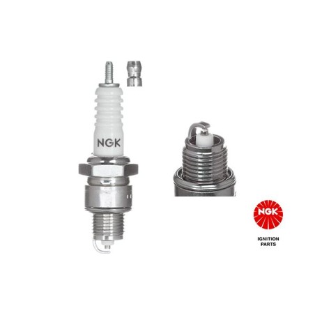 Spark Plug NGK 7829