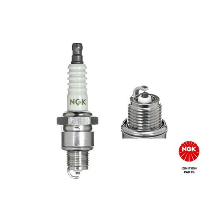 Spark Plug NGK 6729
