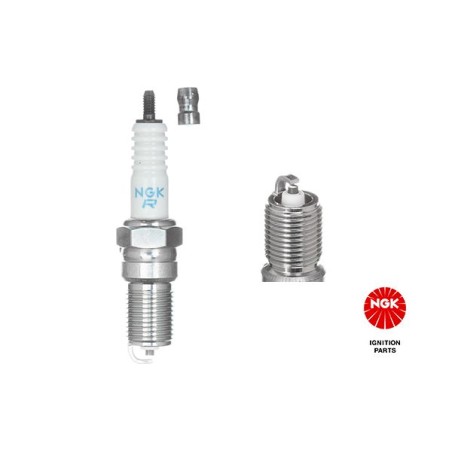 Spark Plug NGK 3623
