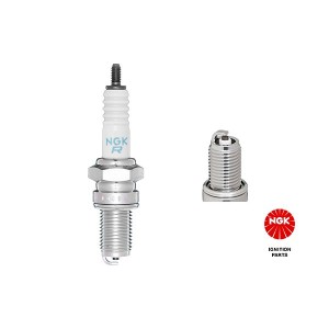 Spark Plug NGK 3437