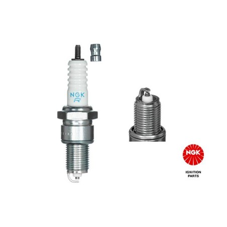 Spark Plug NGK 3923