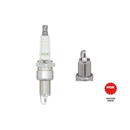 Spark Plug NGK 6029