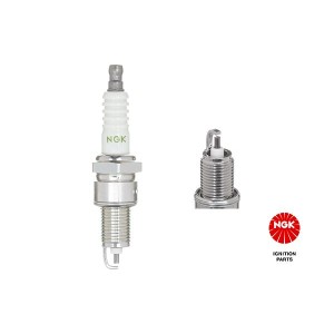 Spark Plug NGK 6029