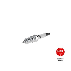 Spark Plug NGK 3951