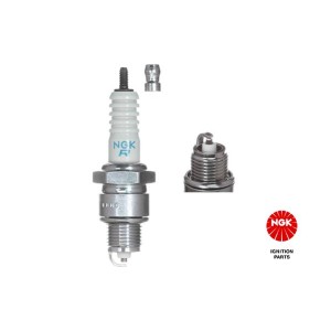 Spark Plug NGK 4839