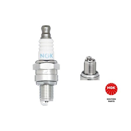 Spark Plug NGK 3365