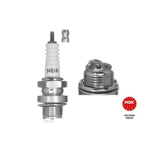 Spark Plug NGK 2910