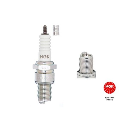 Spark Plug NGK 3530