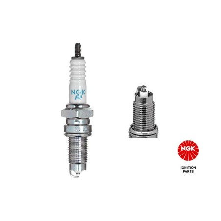 Spark Plug NGK 4730