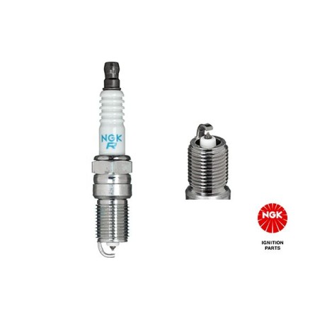 Spark Plug NGK 5598