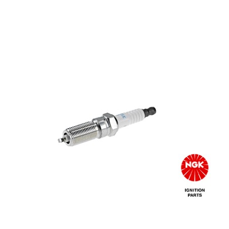 Spark Plug NGK 96621