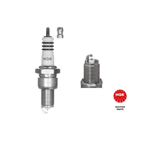 Spark Plug NGK 6597