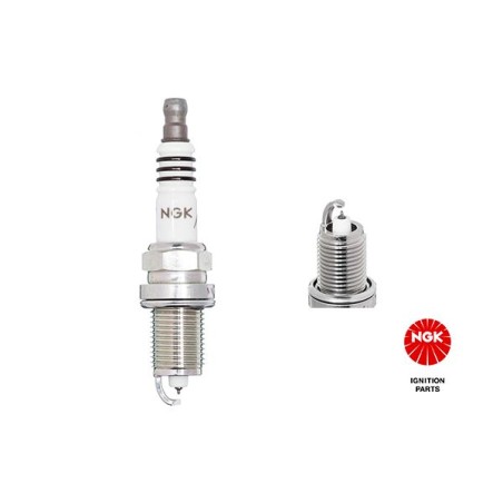 Spark Plug NGK 6441