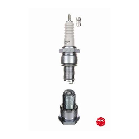 Spark Plug NGK 5927