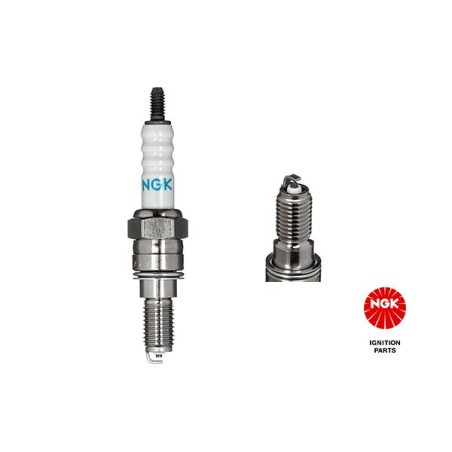 Spark Plug NGK 5869