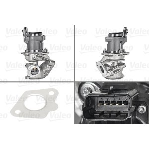 EGR Valve VALEO 700413