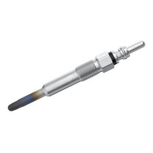 Προθερμαντήρας BOSCH 0250212009