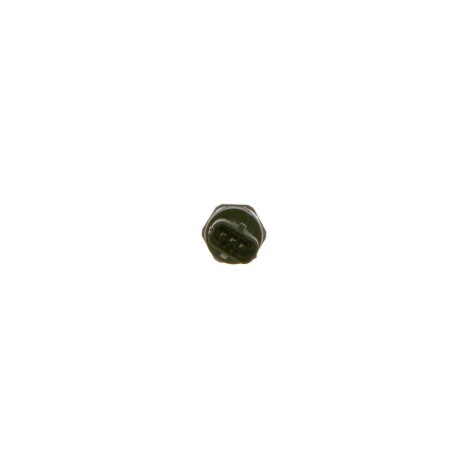 Sensor, fuel pressure BOSCH 0281006018