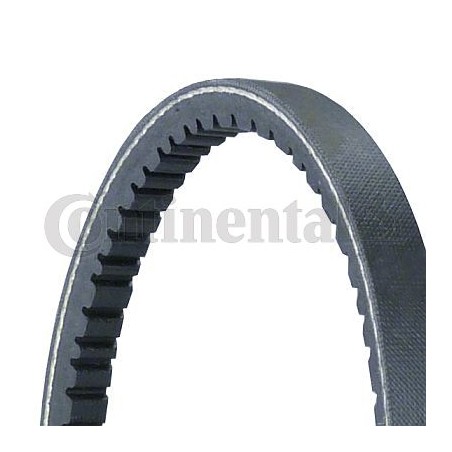 V-Belt CONTINENTAL CTAM 11,0X528Ld