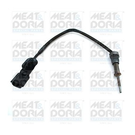 Sensor, exhaust gas temperature MEAT & DORIA 12359