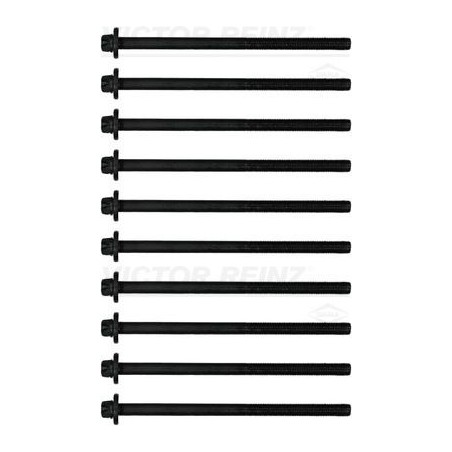Cylinder Head Bolt Set VICTOR REINZ 14-10398-01